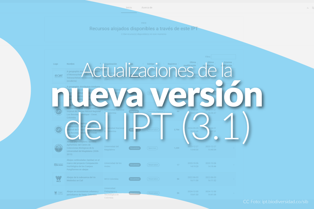 Actualizaciones de la nueva versión del IPT (3.1)