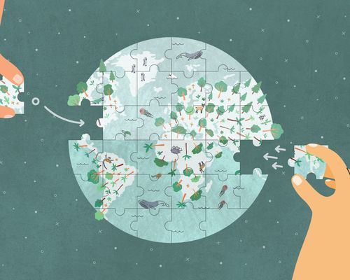 Visual composition developed for the GBIF and climate video, 2022.