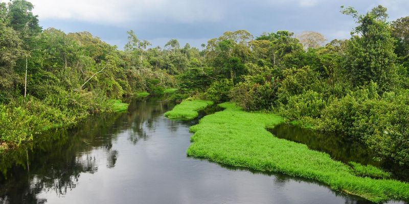 <p>Landscape near Awoua Oyem, Gabon. Photo by <a href="https://www.flickr.com/photos/jbdodane/11598911213/in/album-72157639105064494/">jbdodane via flickr</a>. CC BY-NC 2.0</p>
