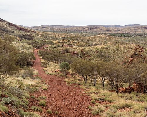 Panorama, Tom Price: mining town in Pilbara, Western Australia. Photo 2014 by Robyn Jay, via <a href="https://flic.kr/p/oZA9Xj">Flickr</a>, licensed under <a href="https://creativecommons.org/licenses/by-sa/2.0/">CC BY-SA 2.0</a>.