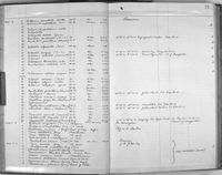 gbif image for Leptonemaster venustus