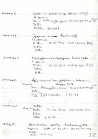 gbif image for Lagocheilus mariei