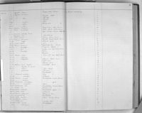 gbif image for Ostodes plicatus