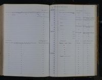 gbif image for Carcharhinus gibbesi