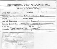 gbif image for Dasmosmilia lymani