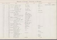 gbif image for Leptopoma acuminatum
