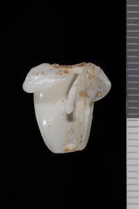 To ANSP Malacology Collection in GBIF (catalog no. 50974)