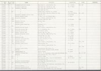 gbif image for Dentalium semistriolatum