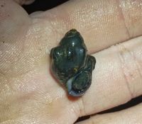 gbif image for Lithasia salebrosa