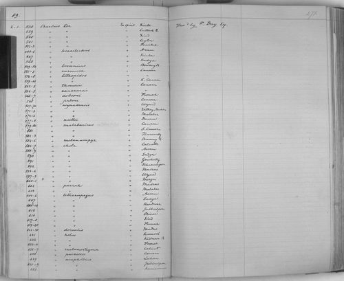 Barbodes wynaadensis: museum & herbarium specimens