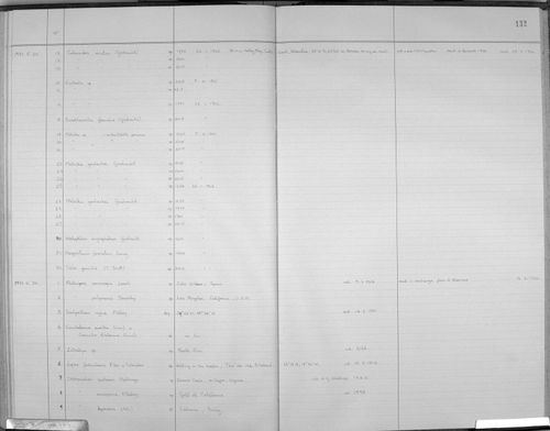 Metridia gerlachei: museum & herbarium specimens