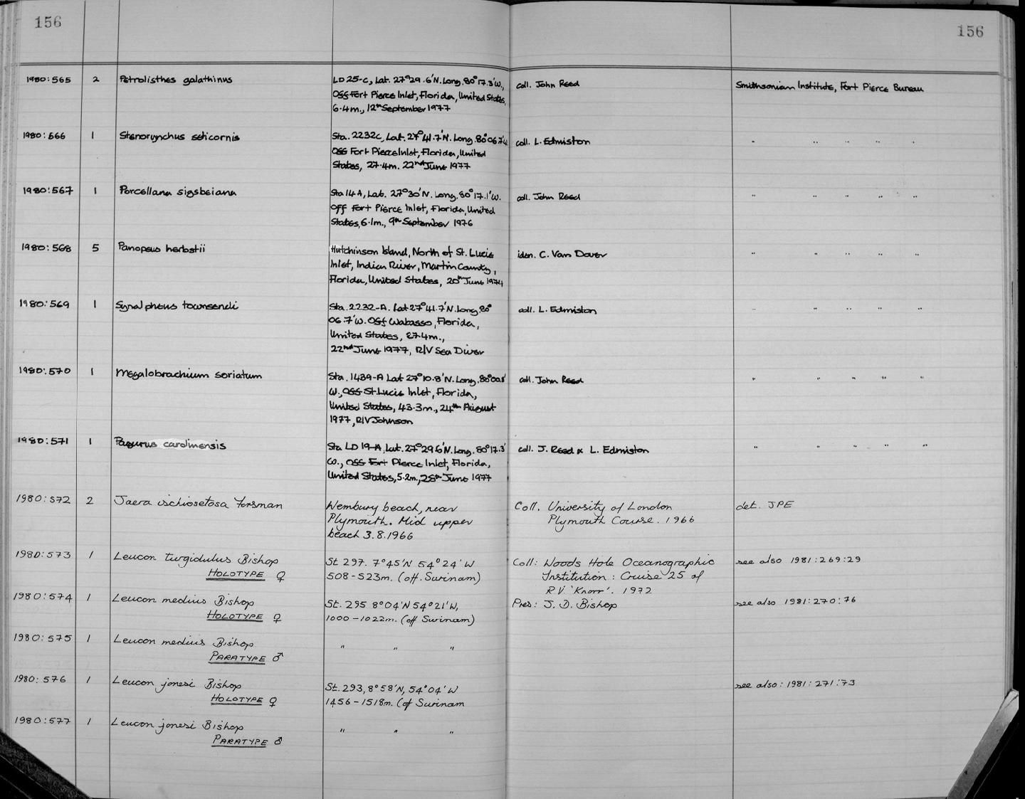 gbif image for Pagurus carolinensis