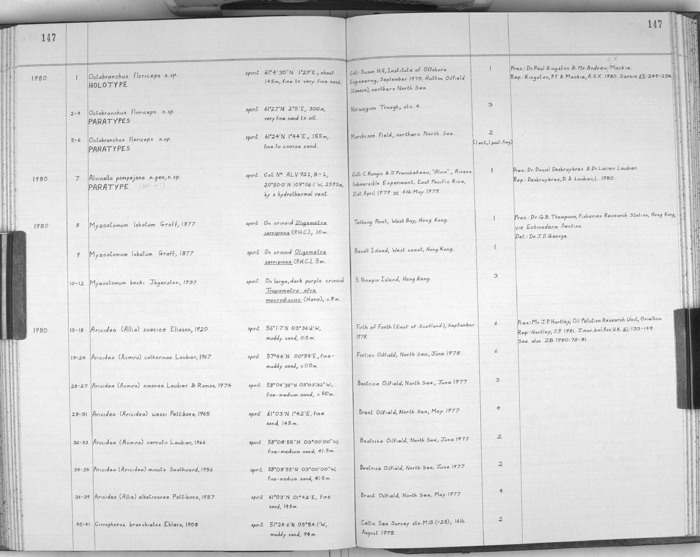 gbif image for Aricidea minuta