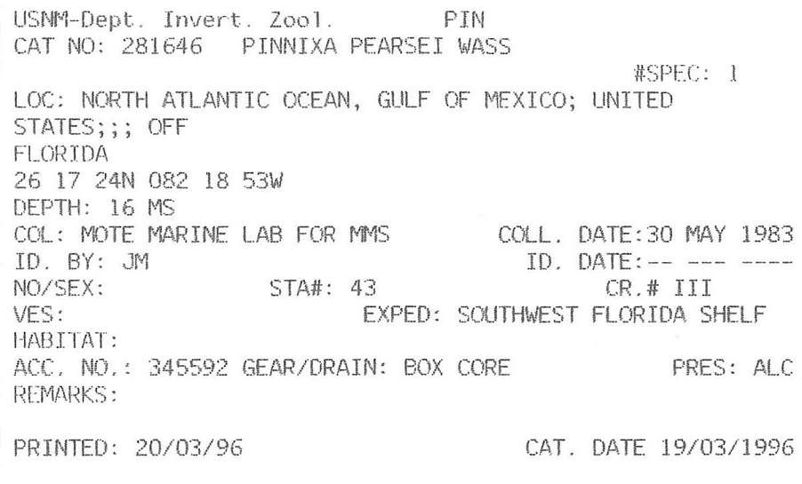 gbif image for Pinnixa pearsei