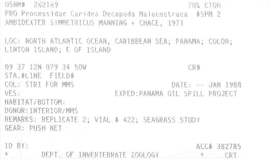 gbif image for Ambidexter symmetricus