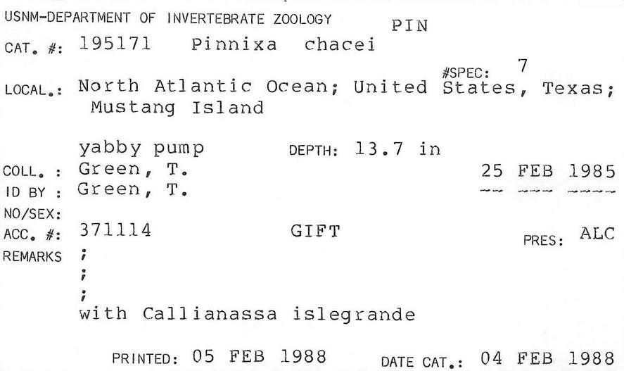 gbif image for Pinnixa chacei