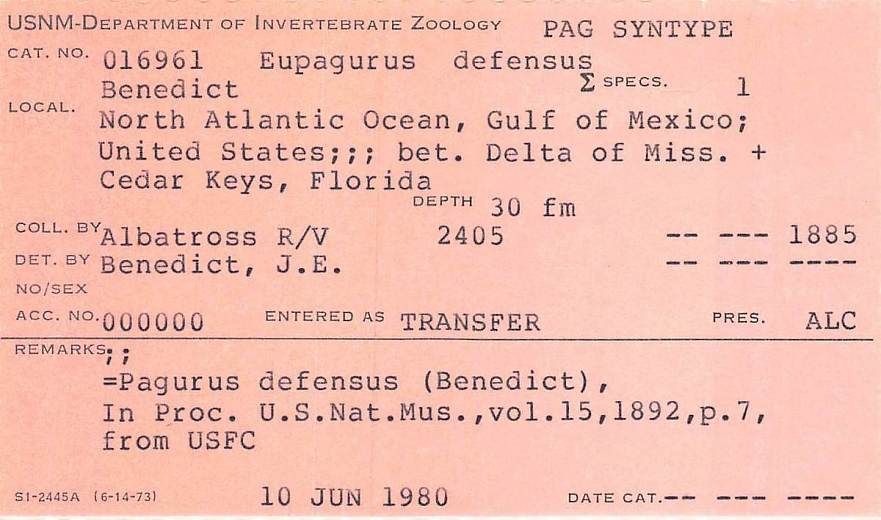 gbif image for Pagurus defensus