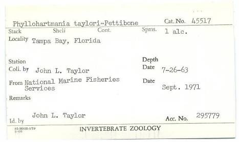 gbif image for Phyllohartmania taylori