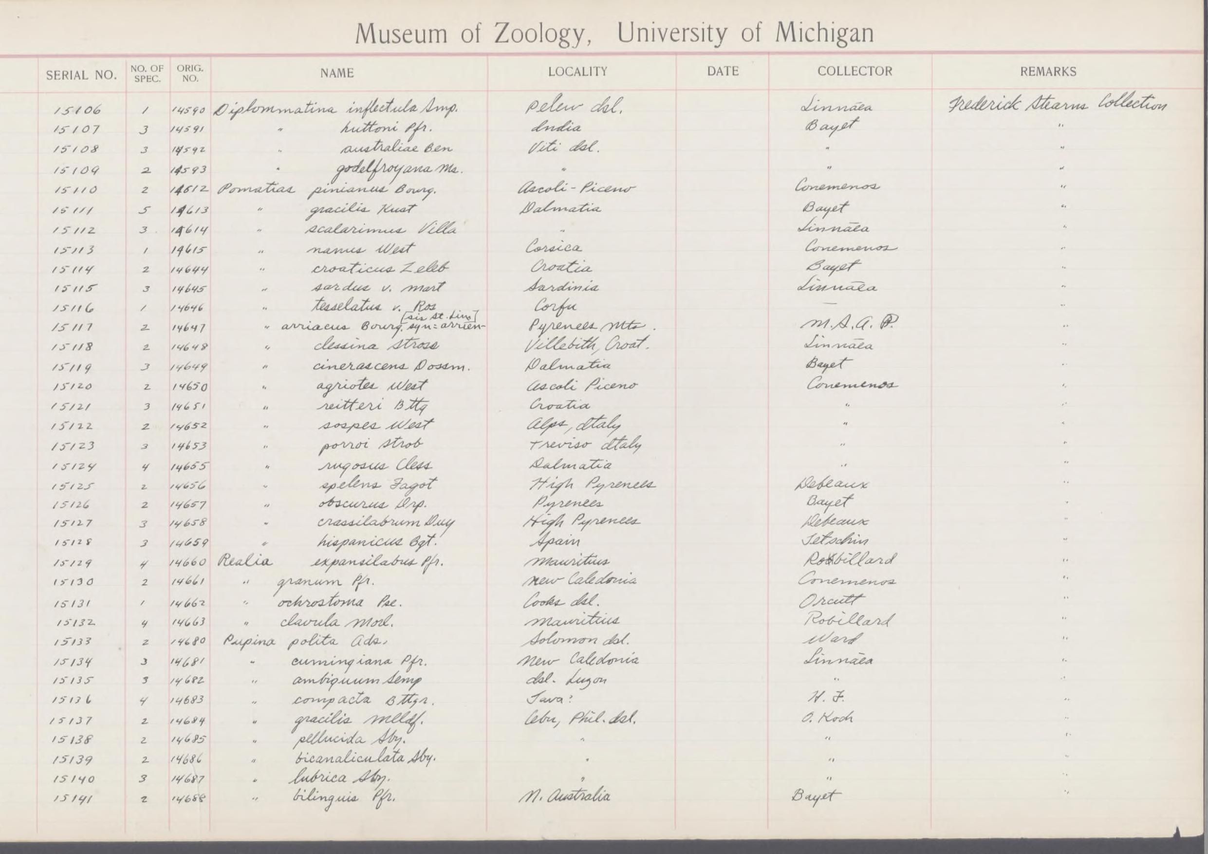 gbif image for Cochlostoma cinerascens
