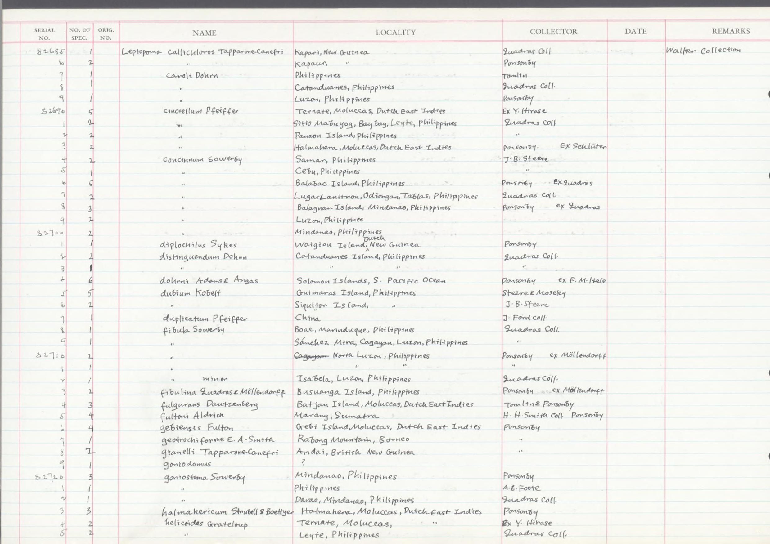 gbif image for Leptopoma fultoni