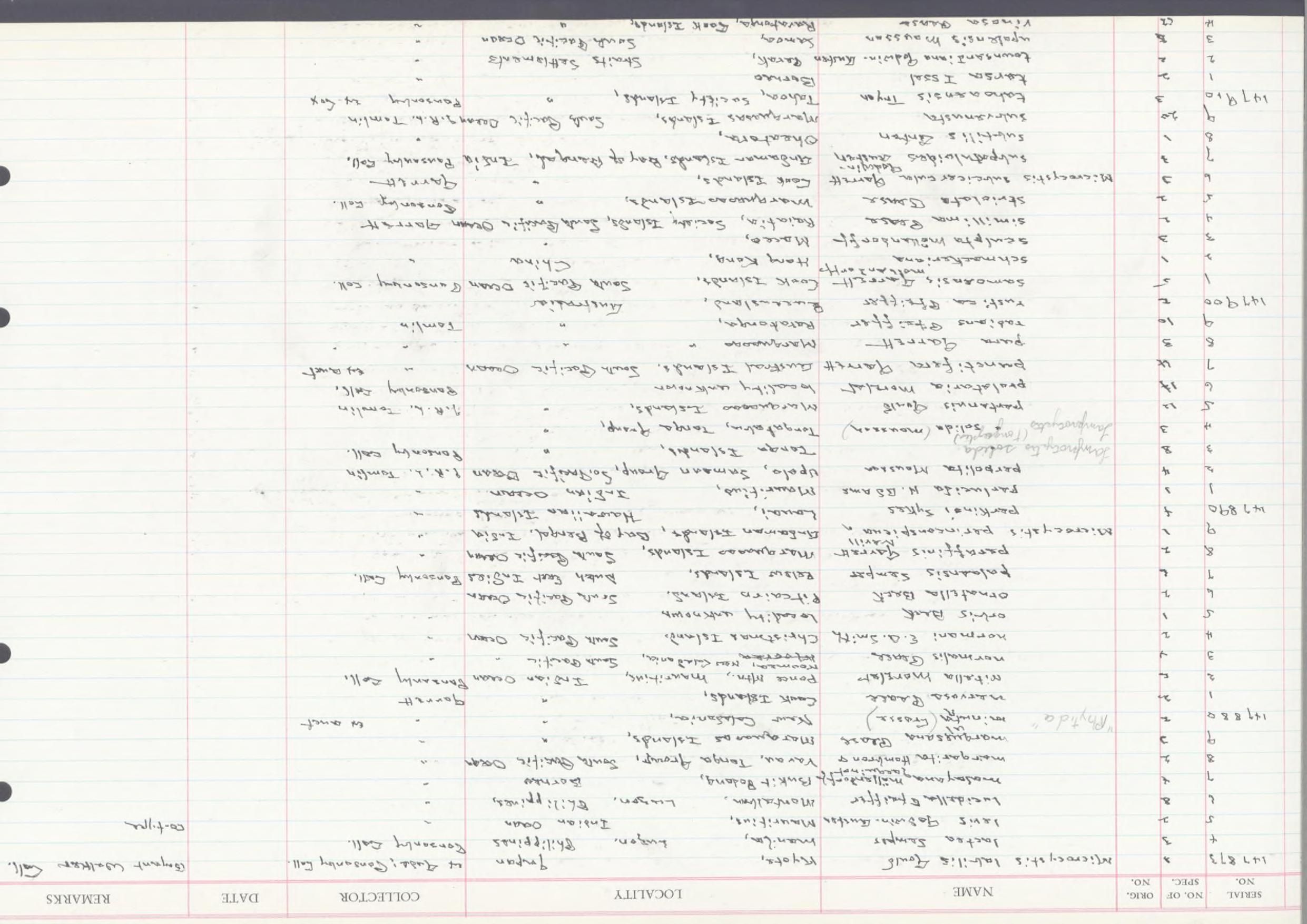 gbif image for Microcystis schmackeriana