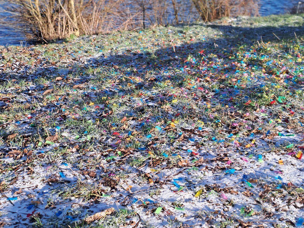 gbif image for Homo sapiens