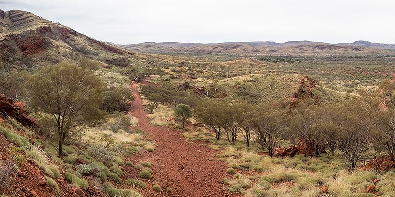 Panorama, Tom Price: mining town in Pilbara, Western Australia. Photo 2014 by Robyn Jay, via <a href="https://flic.kr/p/oZA9Xj">Flickr</a>, licensed under <a href="https://creativecommons.org/licenses/by-sa/2.0/">CC BY-SA 2.0</a>.