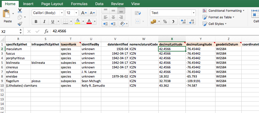 basic excel spreadsheet template