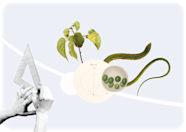 GBIF Node Awards GBIF Node Awards