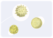 GBIF Node Awards GBIF Node Awards